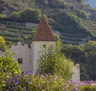 sehenswürdigkeiten-schloss-schlandersburg-vinschgau-fb