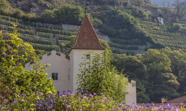 sehenswürdigkeiten-schloss-schlandersburg-vinschgau-fb