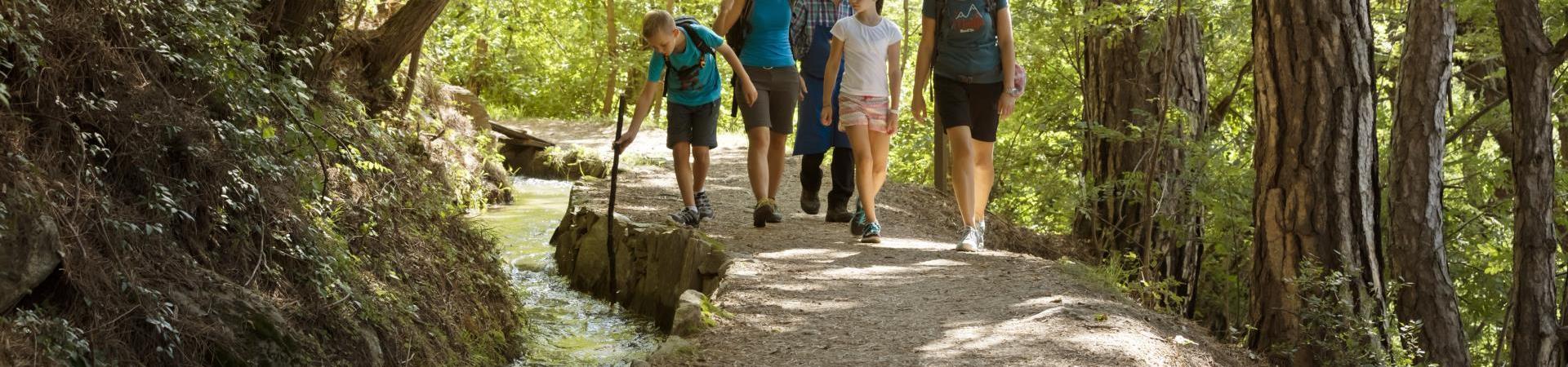 A family on an irrigation channel path