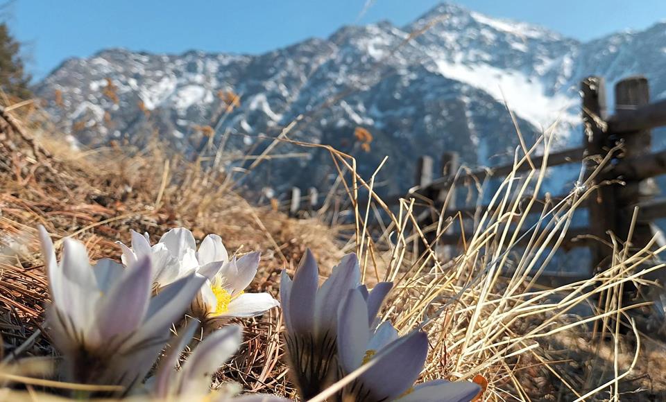 Spring hike