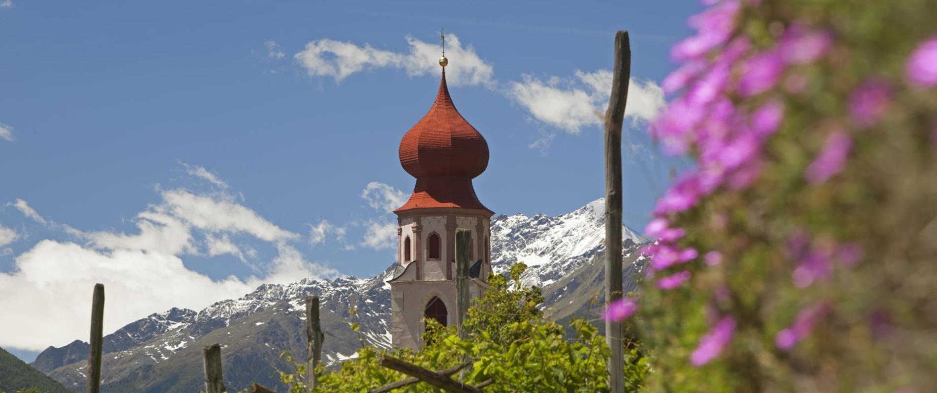 Kastelbell-Taschars in spring