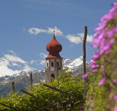 Kastelbell-Taschars in spring