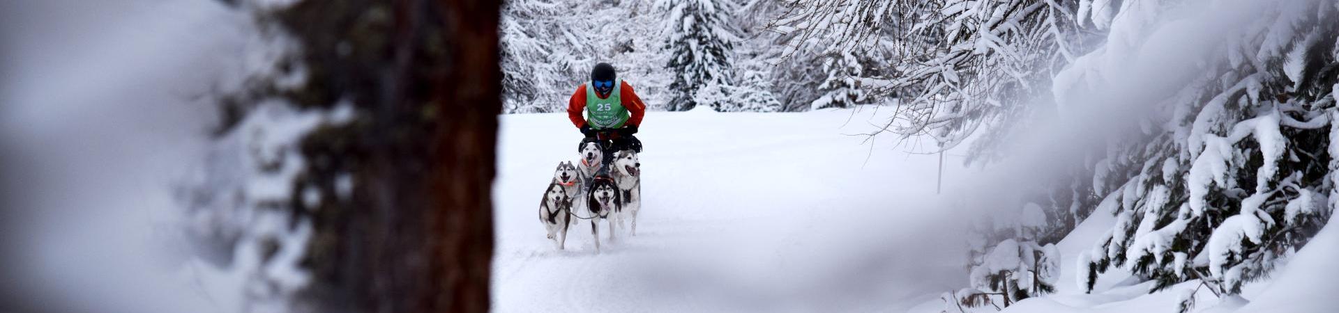 winter-hundeschlittenrennen-langtaufers-reschenpass-tvrp