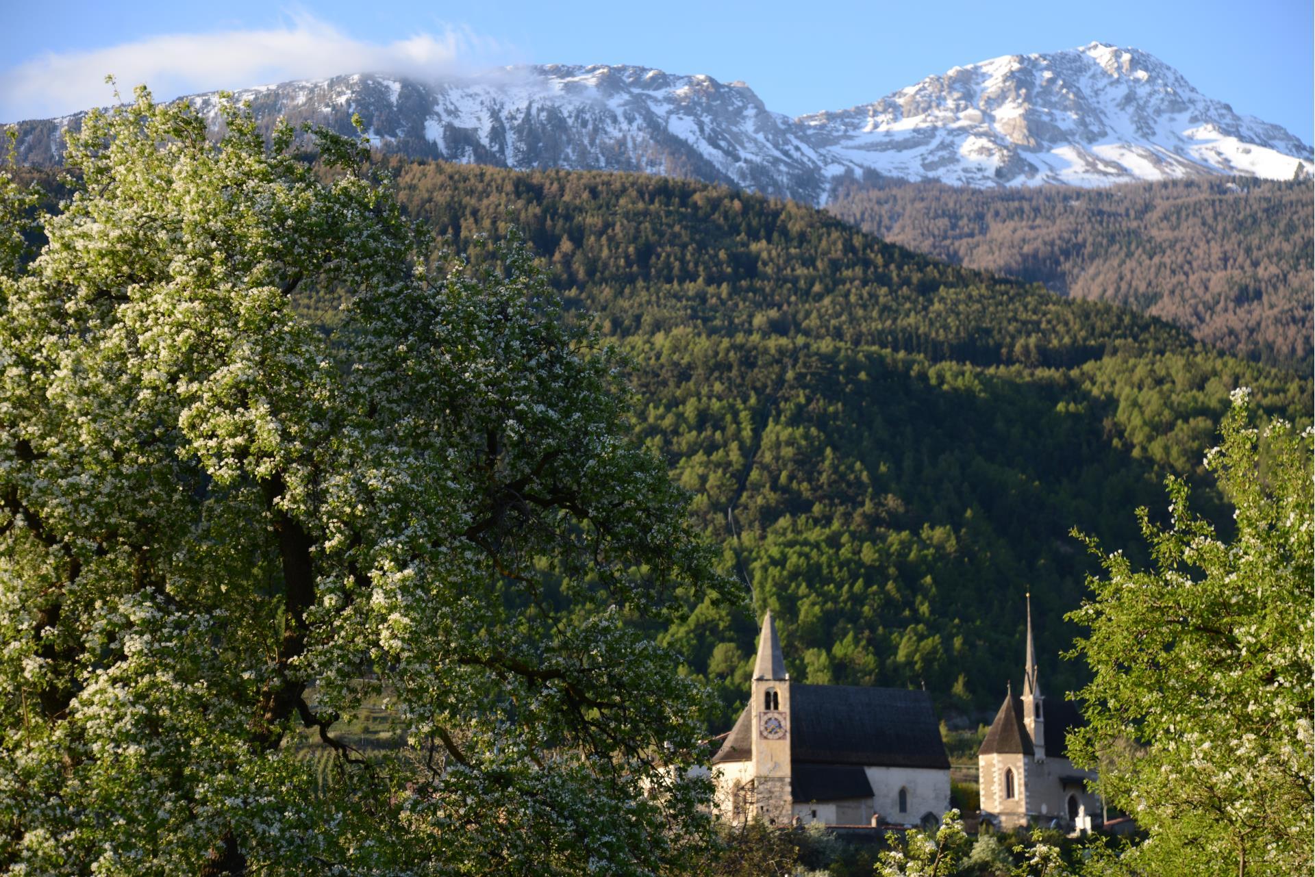 landschaft-göflan-frühling-schlanders-laas-gb