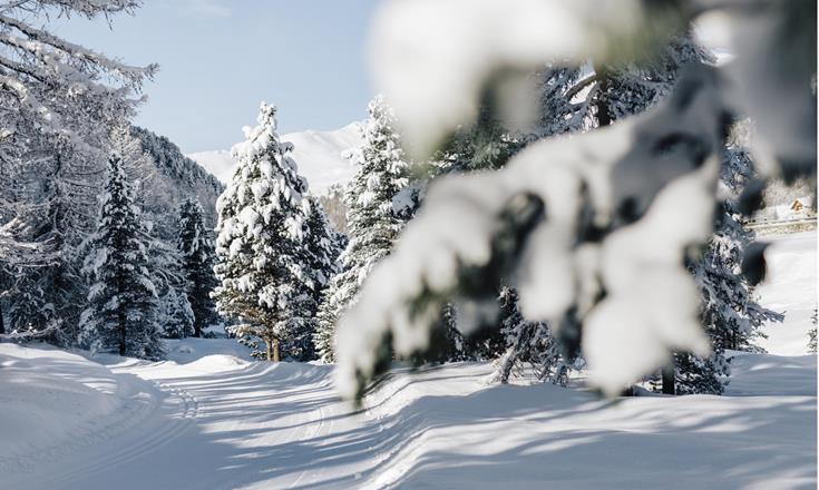 winter-winterlandschaft-vinschgau-bepf