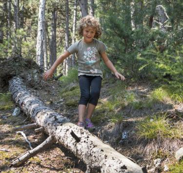 A kid is balancing on a trunk