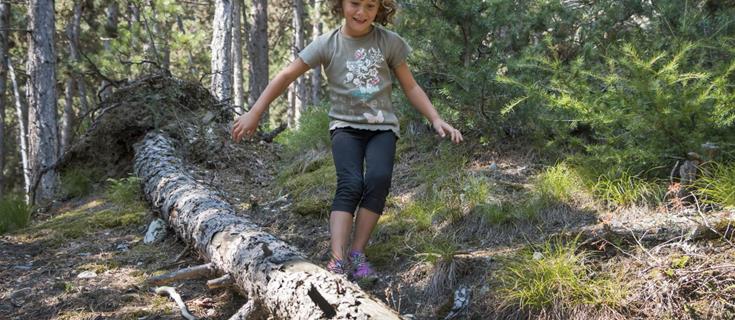 wandern-kind-balanciert-auf-baumstamm-vinschgau-fb