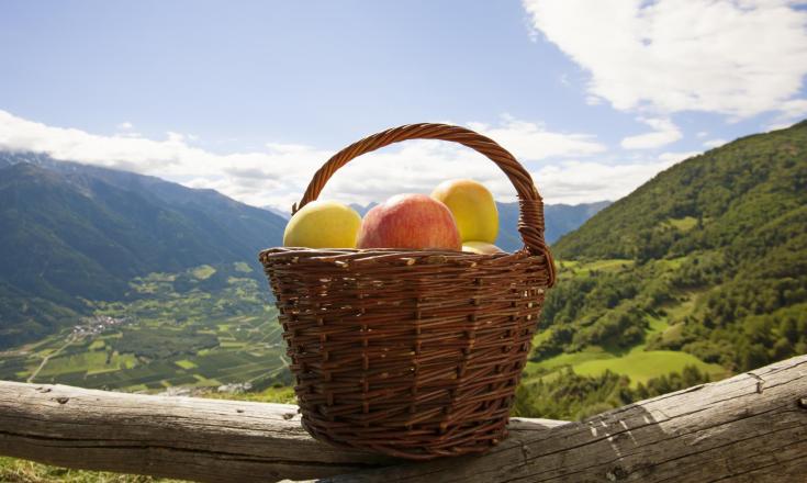 herbstauslese-produkte-apfelkorb-vinschgau-fb[2]