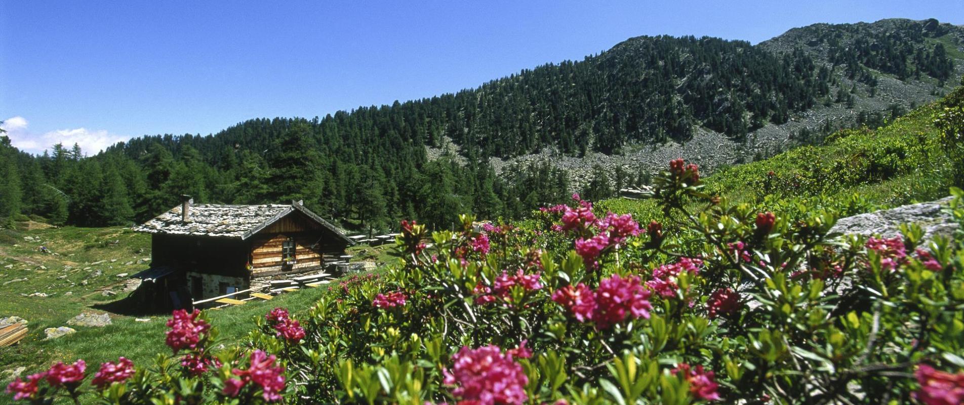 aktiv-wandern-zirmtaler-alm-ub