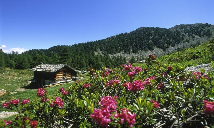 aktiv-wandern-zirmtaler-alm-ub