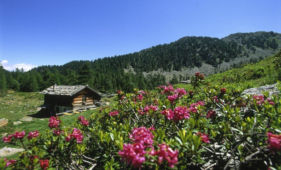 aktiv-wandern-zirmtaler-alm-ub