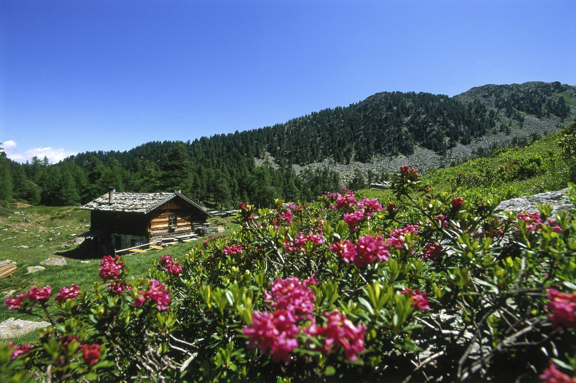 aktiv-wandern-zirmtaler-alm-ub