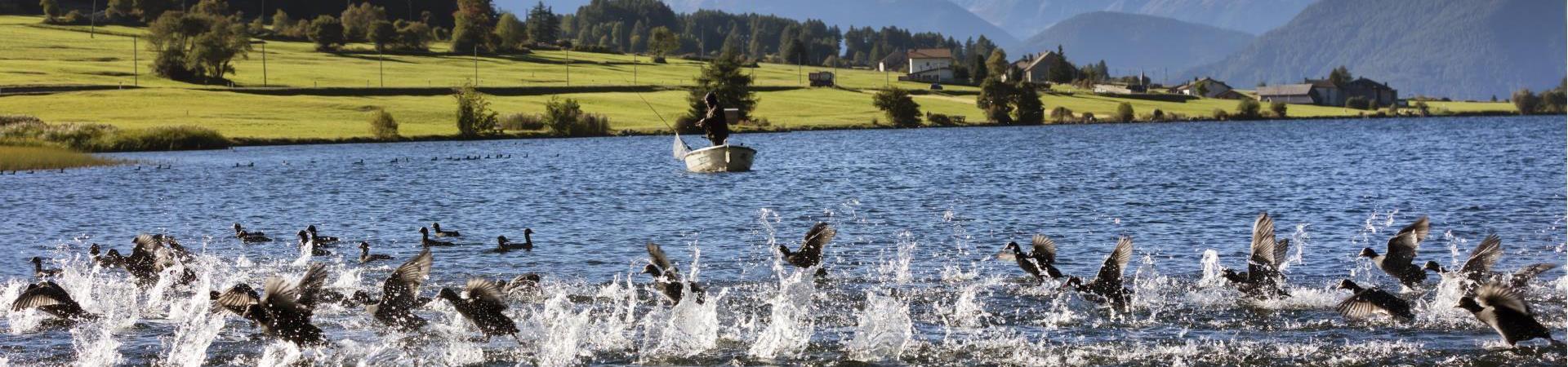 freizeit-angeln-vinschgau-fb