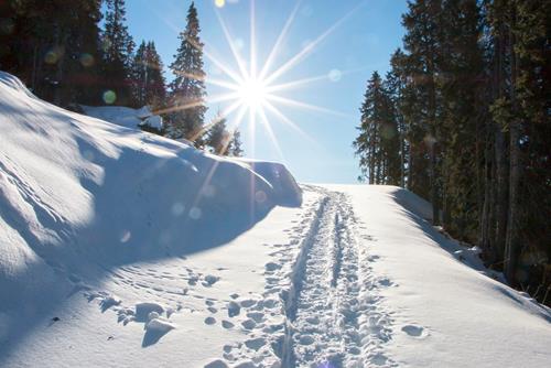 Winterwandern-tarscher Alm-Latsch-Martell-fb