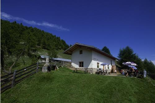 Tourismusverein Kastelbell-Tschars, Udo Bernhart