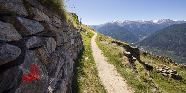 Alta Via Val Venosta: Stava - Resia