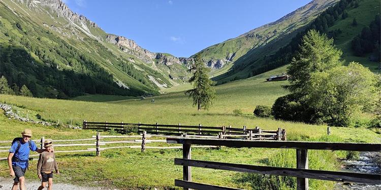 Alpine pastures panorama tour