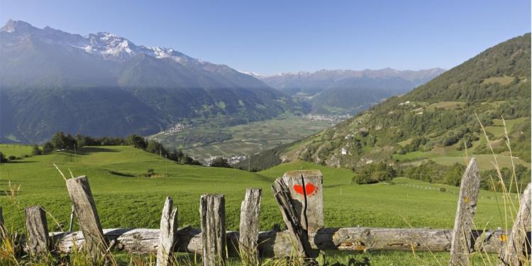 Venosta Valley High Mountain Trail, Stage 3: From the Glieshöfe farms to Tanas