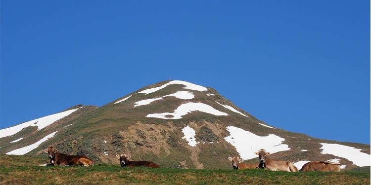 Äußerer Nockenkopf peak