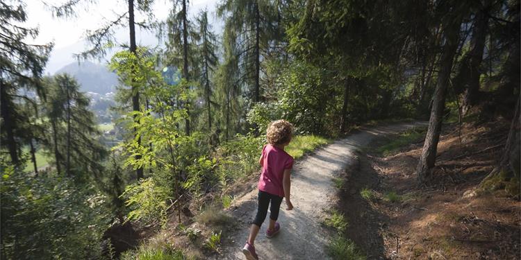 Natural Trail Nittweg