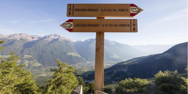 Venosta Valley High Mountain Trail, Stage 2: From Planol to the Glieshöfe farms