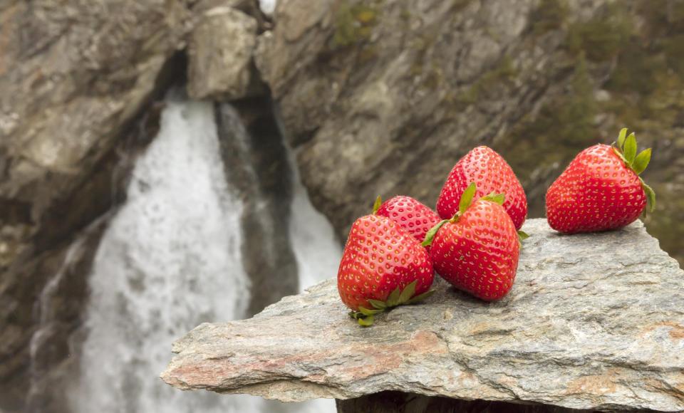 produkte-erdbeeren-vinschgau-fb