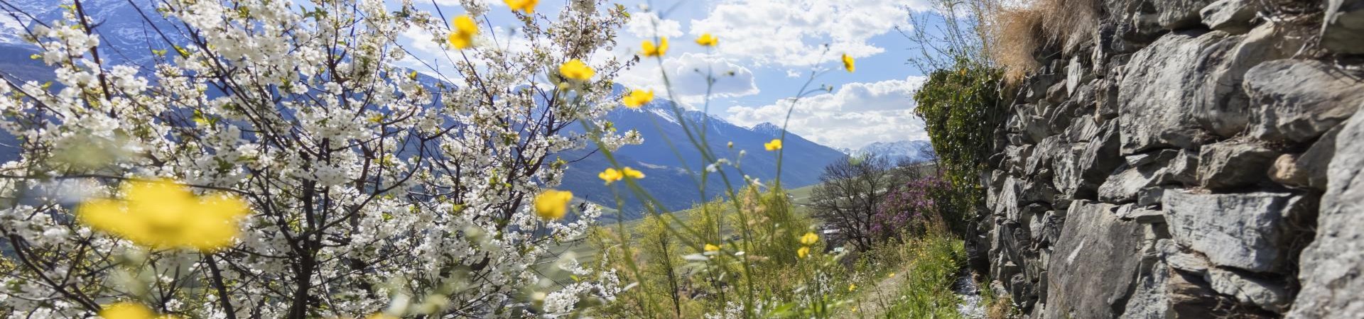 Frühling