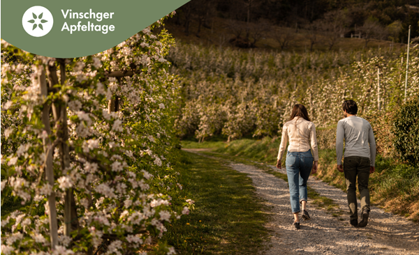26-apfeltage-bilder-mit-logo-7