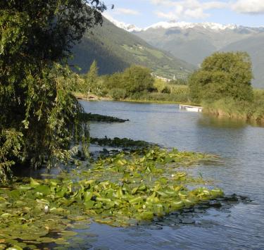 landschaft-fischteich-blick-tschengls-schlanders-laas-gb