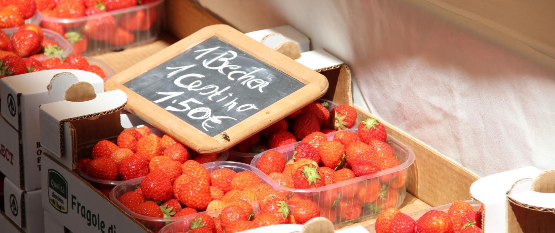 produkte-erdbeeren-obervinschgau-gm