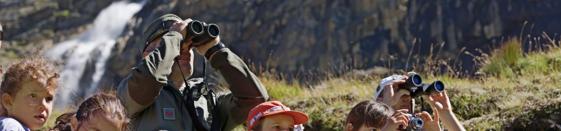 Geführte Wanderung mit einem Förster