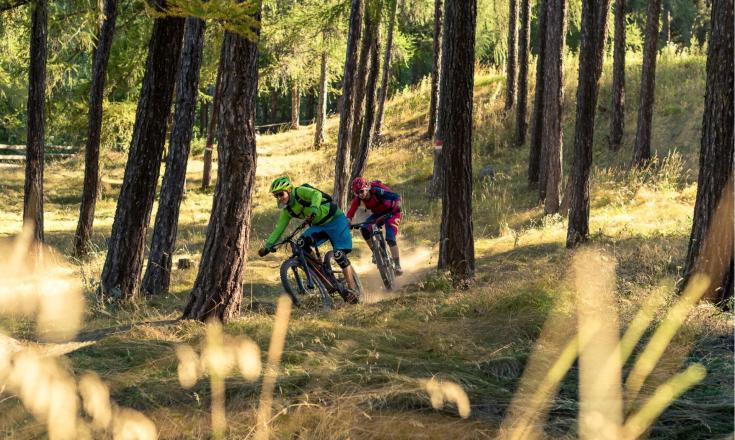 Mountainbiken im Wald