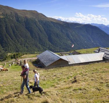 almwirtschaft-kuhabtrieb-vinschgau-fb