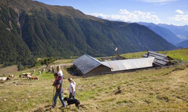 almwirtschaft-kuhabtrieb-vinschgau-fb