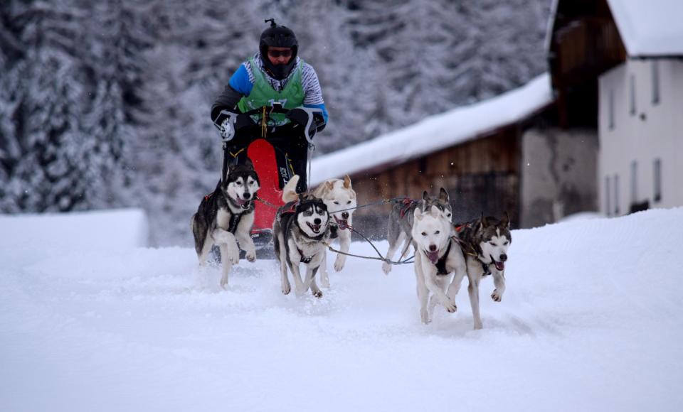 winter-hundschlittenrennen-reschenpass-tvrp